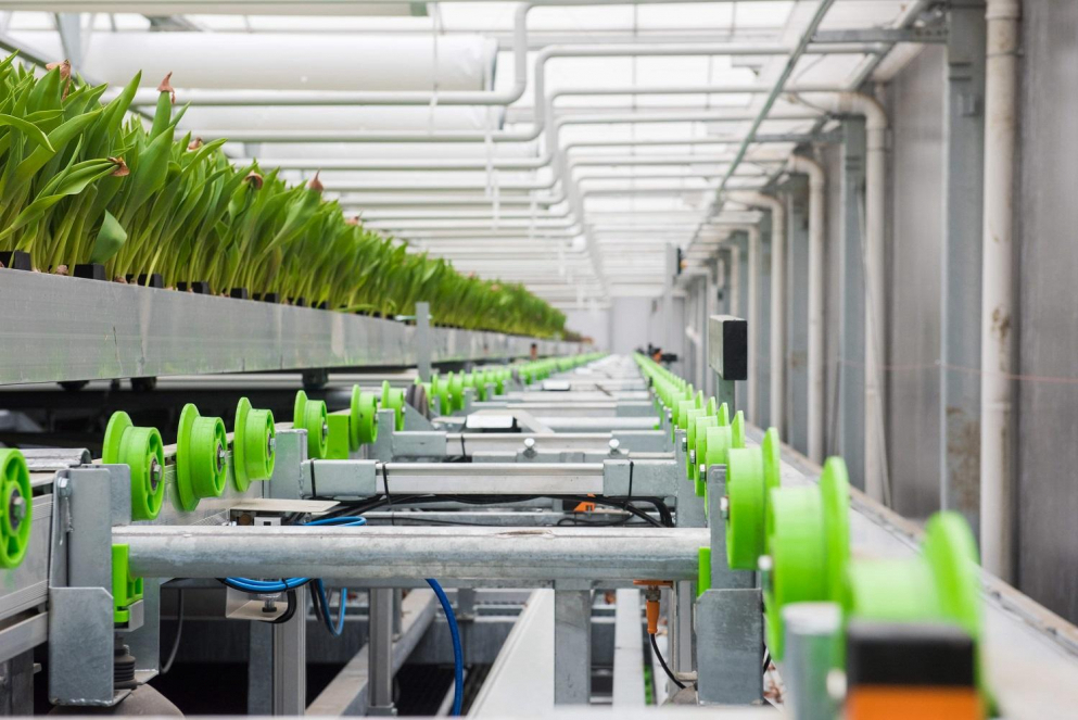 Greenhouses with multiple growing layers