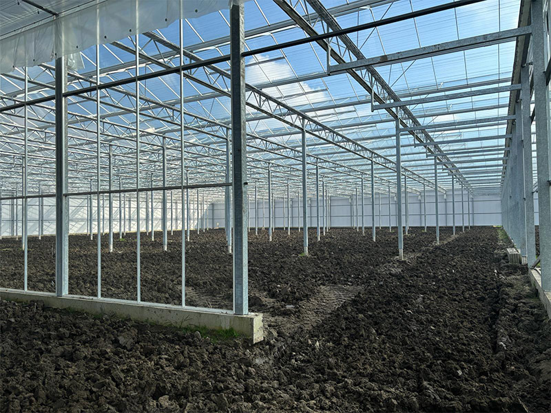 Tulips turnkey project - The Netherlands