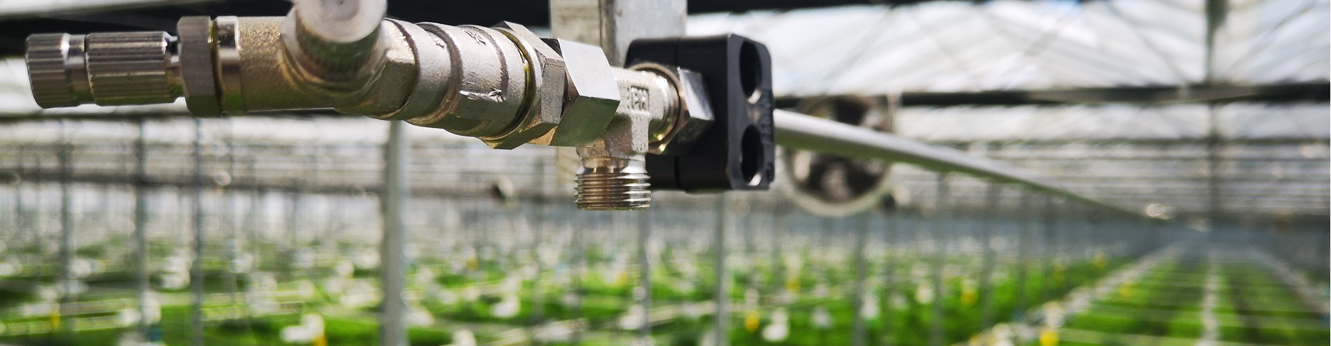 Greenhouse Misting Systems